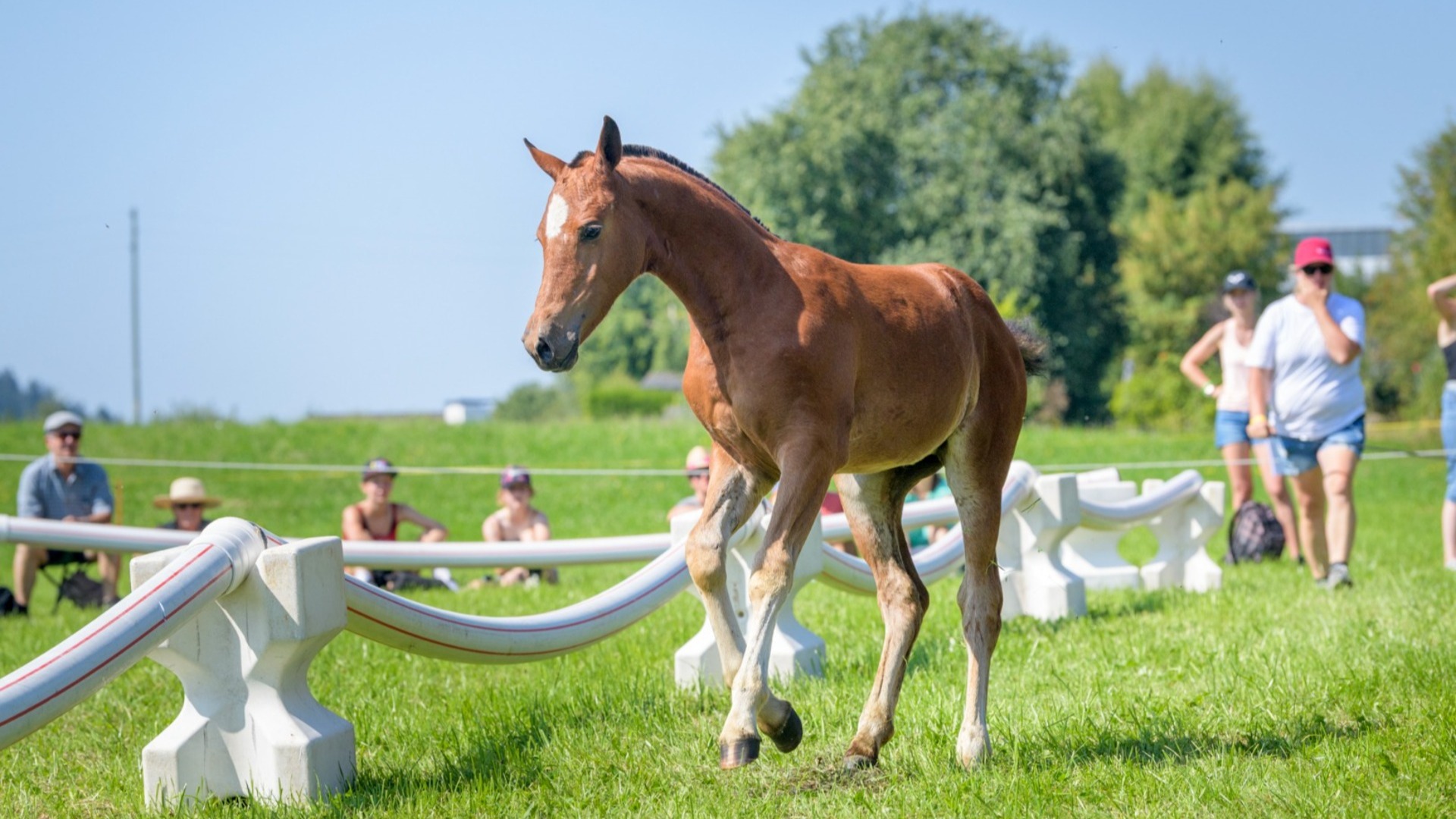 Les résultats de l'exposition sont disponibles !