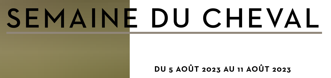 pub centre
