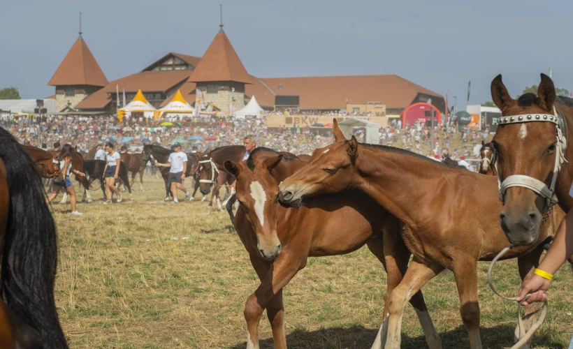 SEMAINE DU CHEVAL<br /><small>Le programme est disponible !</small>