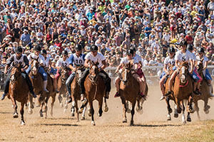 Course de chevaux