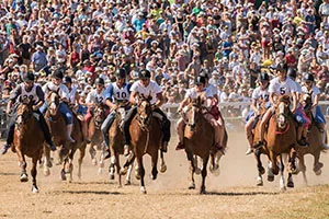 Course Galop