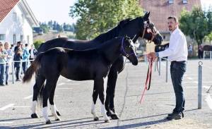 MarcheConcours2018_11aout-007_original