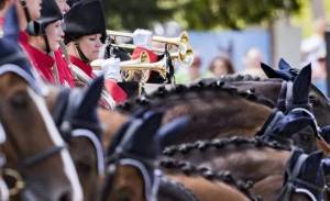 MarcheConcours2018_11aout-059_original