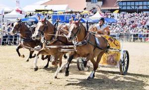 MarcheConcours2018_11aout-072_original