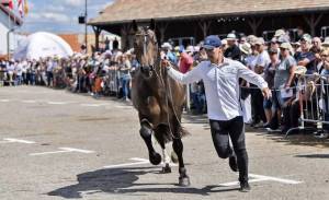 MarcheConcours2018_11aout-129_original