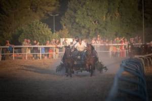 coursesdecharsa2chevaux_07_nd5_8218_web_original