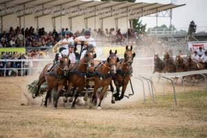 coursesdecharsa4chevaux_15__8108972_web_original