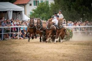 coursesdecharsa4chevaux_20__8108990_web_original