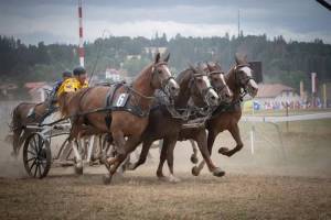 coursesdecharsromains4chevaux_04_nd5_9543_web_original