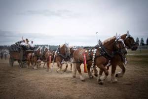 grandcortegefolklorique_30_nd6_9134_web_original