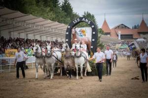 grandcortegefolklorique_38_nd5_9318_web_original