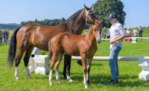 MC25_ChampionnatPoulains_9aout_1023_D6N0284_web_original