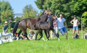 MC25_ChampionnatPoulains_9aout_1027_ND51489_web_original
