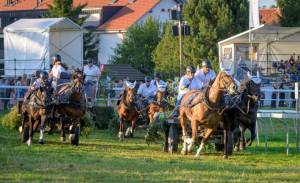 MC25_CourseChars2Chevaux_8aout_1952_Z618891_web_original