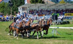 MC25_CourseChars4Chevaux_9aout_1650_ND52114_web_original