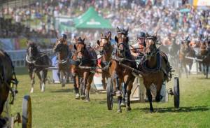 MC25_CourseCharsRomains2Chevaux_10aout_1545_ND52564_web_original