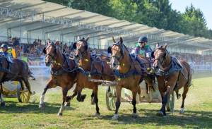 MC25_CourseCharsRomains4Chevaux_10aout_1700_D6N1413_web_original