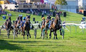 MC25_CourseTrotAttele_8aout_1801_Z624130_web_original