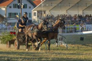 260807_19h50_No8a_CourseDeChars2Chevaux_29_ND56766_web_original