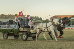 260807_20h20_No8b_CourseDeChars2Chevaux_64_ND56944_web_original
