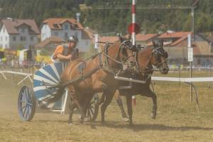 260808_15h30_No14a_CourseDeCharsRomains2Chevaux_304_ND57914_web_original