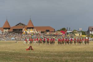 260809_10h30_PresentationCantonDeBerne_424_ND64103_web_original
