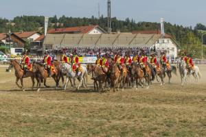 260809_10h30_PresentationCantonDeBerne_426_ND58451_web_original