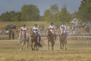 260809_11h30_QuadrilleCampagnardMonteEtAttele_467_ND58575_web_original
